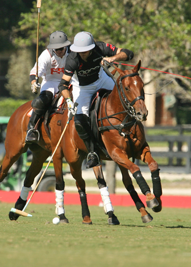 alexpacheco polo photos polo teams erg ipc polo club florida